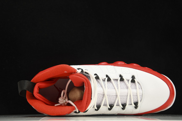 Air Jordan 9 Retro 