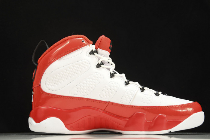 Air Jordan 9 Retro 