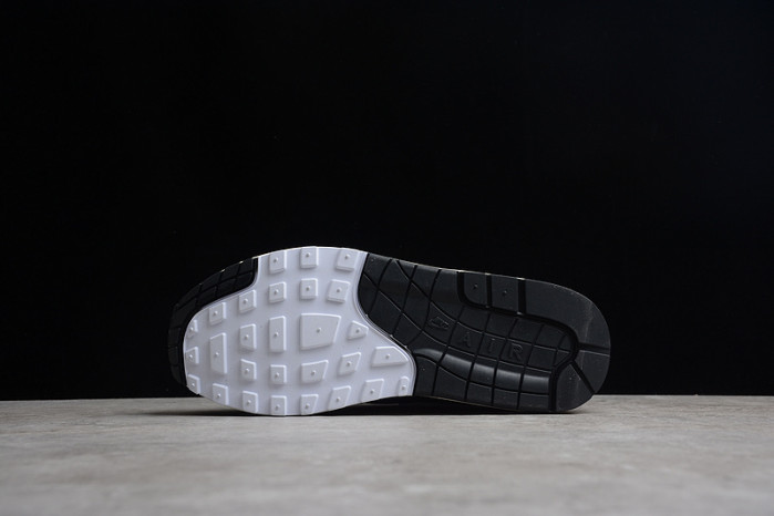 Patta x Nike Air Max 1 Black DQ0299-001
