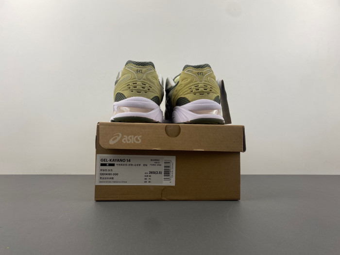 As*ic*ss shoes