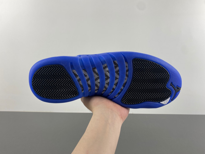 Air Jordan 12 CT8013-116