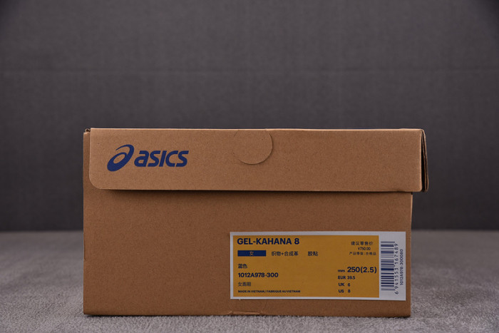 As*ic*ss shoes