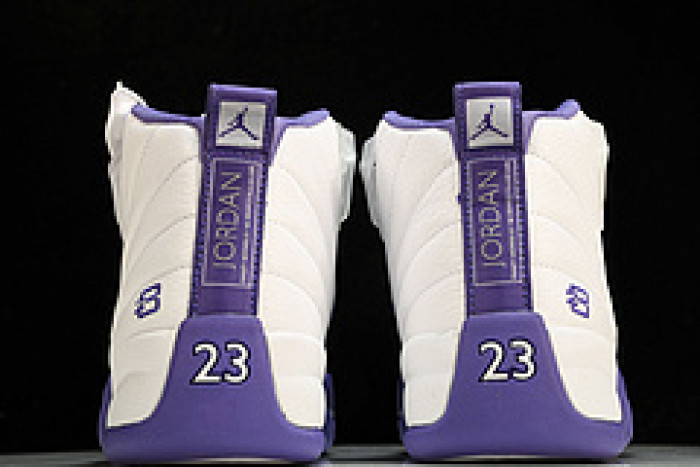 Nike Air Jordan 12 CT8013-150