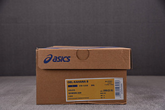 As*ic*ss shoes