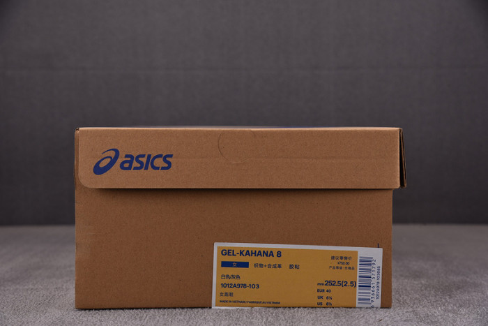 As*ic*ss shoes