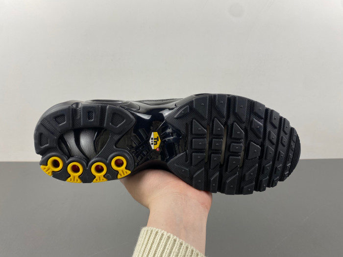 Nike Air Max Plu 604133-050