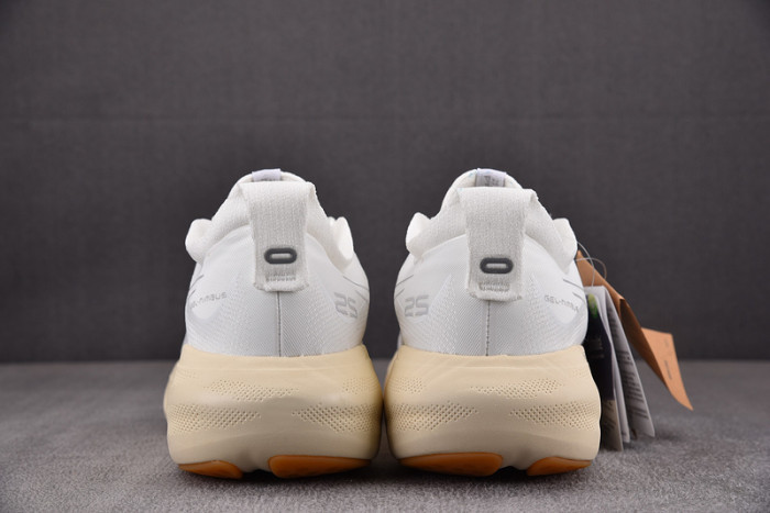 As*ic*ss shoes