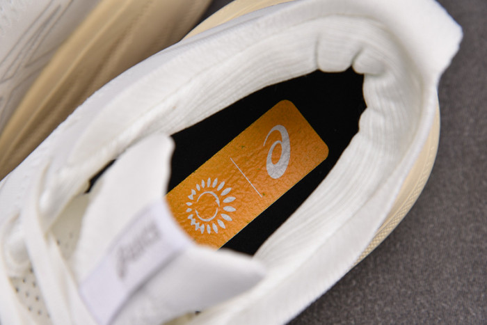 As*ic*ss shoes