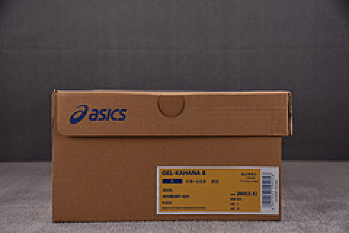 As*ic*ss shoes