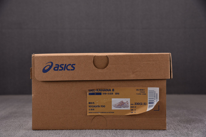 As*ic*ss shoes