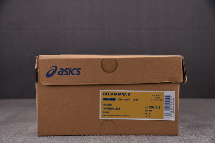 As*ic*ss shoes